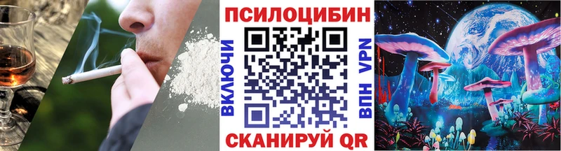 Псилоцибиновые грибы Cubensis  где купить наркотик  Щигры 