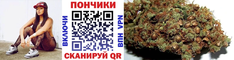 купить наркоту  Щигры  Бошки Шишки SATIVA & INDICA 